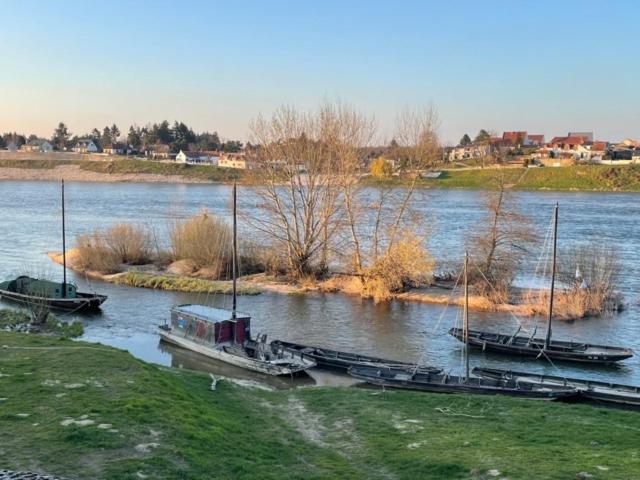 JargeauEvasion De Loire住宿加早餐旅馆 外观 照片
