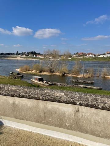 JargeauEvasion De Loire住宿加早餐旅馆 外观 照片
